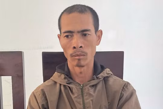 Gia Lai: Tạm giữ hình sự đối tượng chặt hạ hàng trăm cây cà phê, hồ tiêu của người mẹ đơn thân