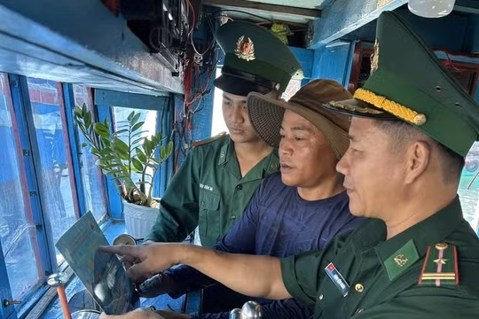 Gia Lai: Tập trung nguồn lực quyết tâm gỡ “thẻ vàng” IUU, phát triển bền vững ngành thủy sản