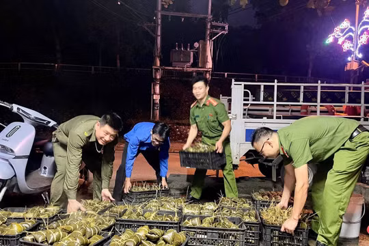 Lào Cai: Trắng đêm gói 2.000 chiếc bánh chưng ủng hộ người dân vùng lũ Thái Nguyên