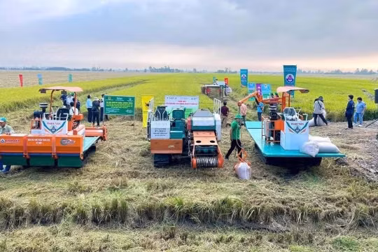 Giảm phát thải trong trồng trọt: Đường dài cần cơ chế vững
