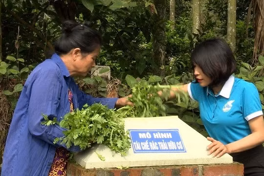 Phân loại rác thải tại hộ gia đình, đang góp phần bảo vệ môi trường cộng đồng dân cư
