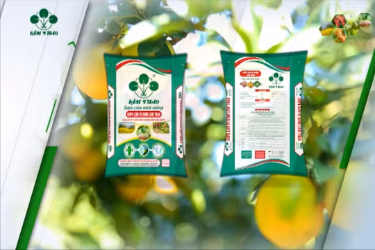 Supe lân vi sinh Lâm Thao hướng đến nền nông nghiệp xanh