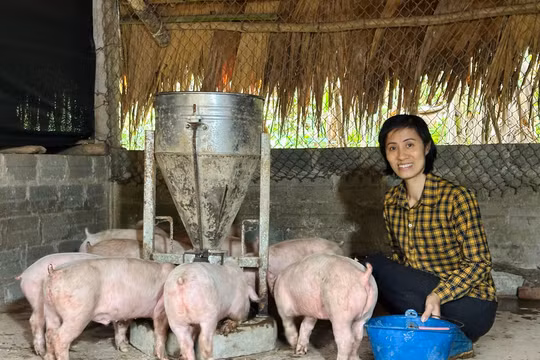 Nụ cười giản dị của người phụ nữ 'gánh cả bầu trời'