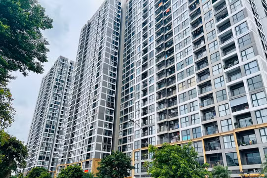 Bất động sản Việt Nam: 'Ông lớn' hưởng lợi, doanh nghiệp nhỏ bị 'bỏ rơi'