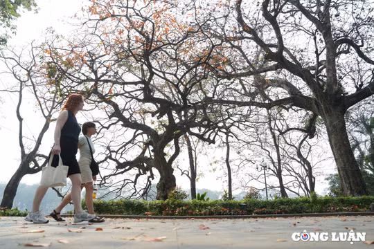 Hà Nội lãng mạn, thơ mộng khi giao mùa