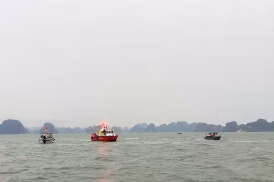 Hủy các tour du thuyền trên vịnh Hạ Long, Lan Hạ vì bão số 3