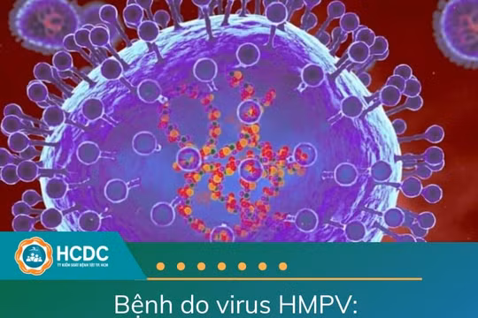 Virus gây bệnh phổi lạ ở Trung Quốc có đáng lo sợ?