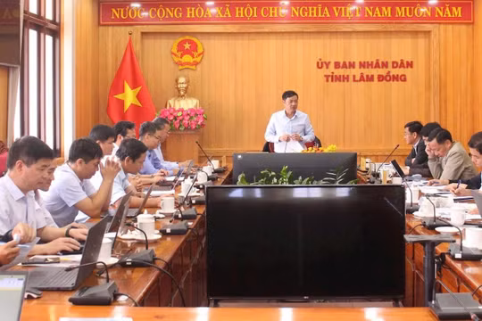 EVNGENCO1 đề xuất đầu tư cụm dự án năng lượng xanh