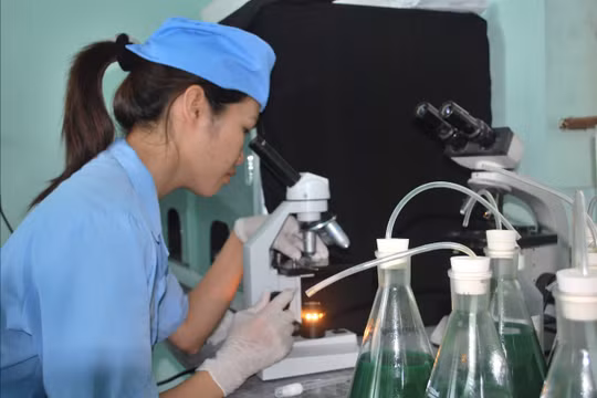 Đột phá khoa học, công nghệ và chuyển đổi số: Động lực chủ yếu cho phát triển quốc gia giai đoạn mới