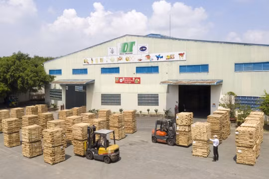 Chưa đạt mục tiêu doanh thu, Gỗ Đức Thành (GDT) huy động thêm 10,7 tỷ đồng từ phát hành cổ phiếu