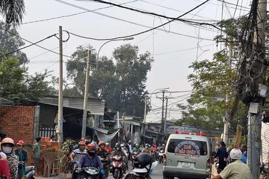 Điều tra vụ người đàn ông tử vong trong tư thế treo cổ trên cây cổ thụ ở TP HCM