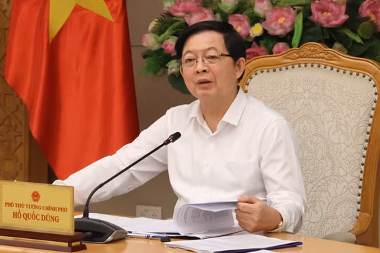 Cá thể hóa trách nhiệm để nâng hiệu quả thi hành công vụ, chất lượng tự kiểm tra văn bản