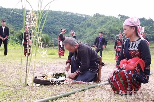 Tết cơm mới của người Xá Phó là di sản văn hóa phi vật thể quốc gia