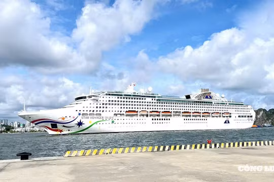 Tàu STAR VOYAGER đưa hơn một nghìn khách quốc tế đến vịnh Hạ Long ngay sau khi bão số 3 vừa tan