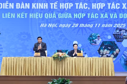Kinh tế tập thể là 'bệ đỡ nơi làng quê', kinh tế tư nhân là 'động lực nơi thị trường'