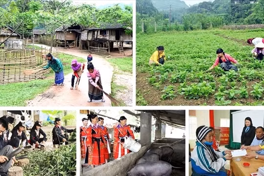 Chính phủ điều chỉnh đối tượng, dự án thành phần của Chương trình phát triển KTXH vùng dân tộc thiểu số và miền núi