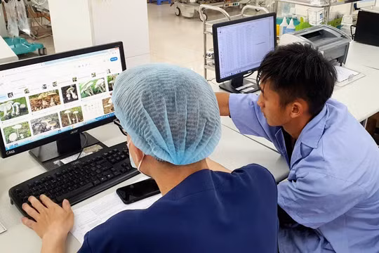 Cặp vợ chồng trẻ hôn mê sâu có nguy cơ tử vong cao do ăn nấm rừng