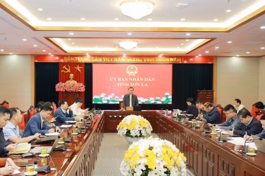 Sơn La: Hoàn thiện phương án hoạt động sau đầu tư các Trường nội trú liên cấp Tiểu học - THCS tại xã biên giới