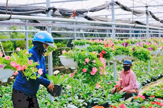 Tổ chức Cuộc thi viết về gương điển hình tiên tiến xây dựng nông thôn mới
