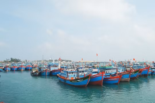 Quảng Ngãi: Kêu gọi tàu thuyền tìm nơi tránh, trú an toàn