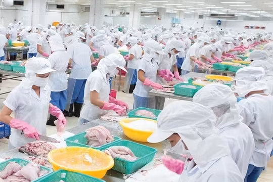 Thủy sản Mekong (AAM) đặt mục tiêu hòa vốn năm 2025 sau khoản lỗ 6,29 tỷ đồng