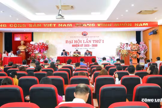 Hội Nhà báo Việt Nam yêu cầu các cấp Hội địa phương rà soát, đánh giá hoạt động sau sắp xếp, sáp nhập