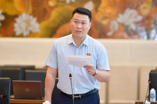 Đại biểu Quốc hội: Cần tăng thẩm quyền cho Tòa án khu vực