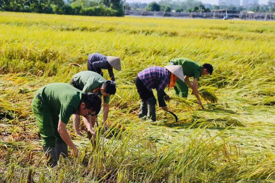 Thủ tướng yêu cầu thần tốc khắc phục hậu quả bão số 10, sớm ổn định cuộc sống Nhân dân