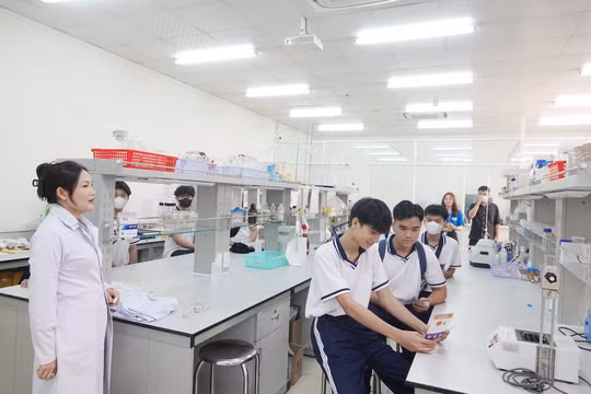 Nhiều địa phương đồng loạt công bố phương án sắp xếp, sáp nhập trường học