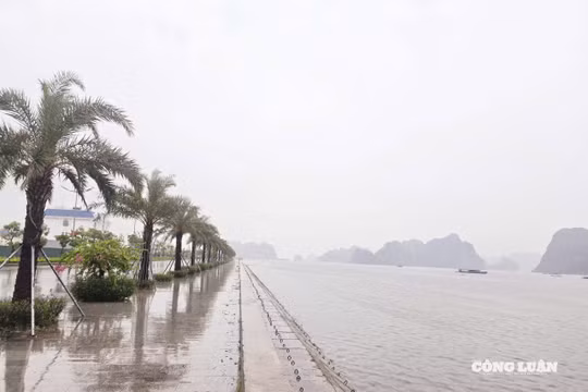 Quảng Ninh quyết liệt phòng chống bão số 5: Tất cả tàu thuyền đã về nơi an toàn