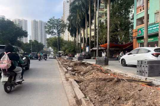 Xén hè mở rộng nút giao, Hà Nội chặt hạ cây xanh theo phương án được duyệt