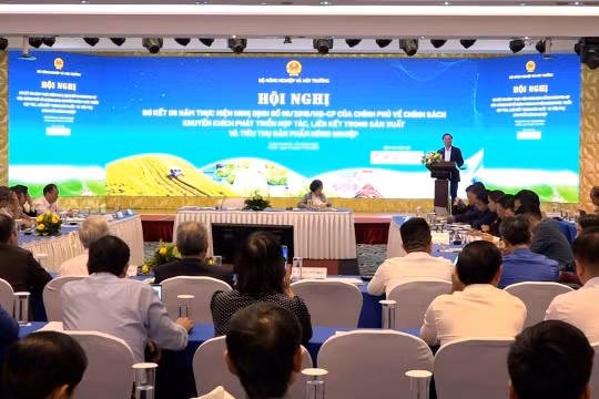 Sáu năm thực hiện Nghị định 98: Gắn kết “ba nhà” – Kiến tạo nền nông nghiệp bền vững