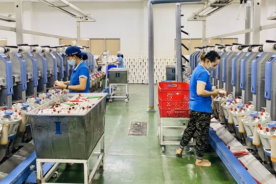 Hai cực tăng trưởng là Hà Nội và TP HCM có sự sụt giảm mạnh số doanh nghiệp thành lập mới