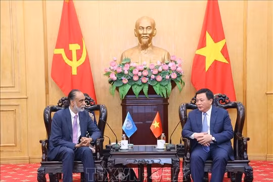 Thúc đẩy hợp tác Việt Nam-Liên hợp quốc về chuyển đổi số, đổi mới sáng tạo