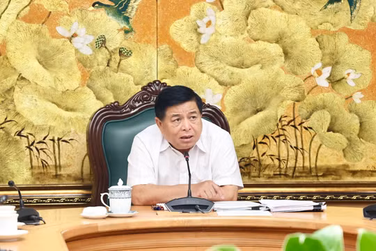 Lùi thời gian Nghị định quy định về đăng ký doanh nghiệp để cập nhật tình hình mới