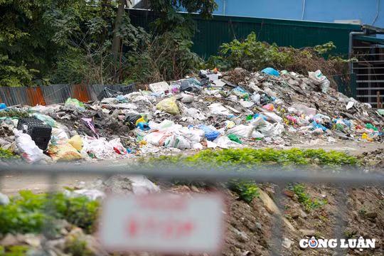 Giảm phát thải POP và thủy ngân: Chìa khóa thúc đẩy công nghiệp phát triển bền vững