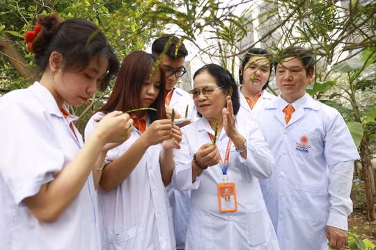 Đào tạo sau đại học 'số lượng' bùng nổ, 'chất lượng' đặt ra thách thức