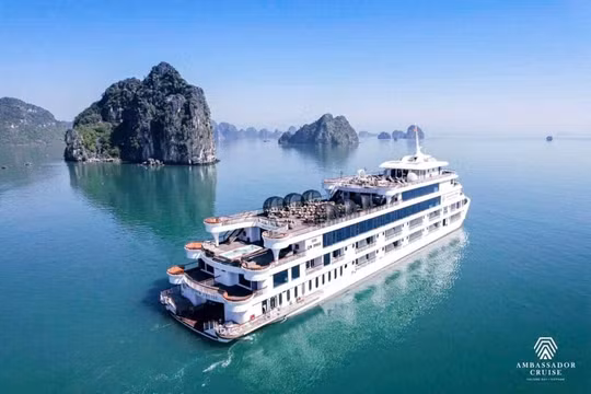 Chuyến du thuyền tri ân: Khúc ca hào hùng trên vịnh Hạ Long