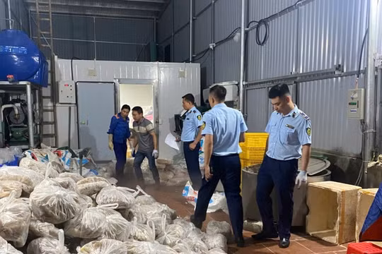 Hà Nội: Phát hiện 11 tấn thịt và nội tạng bò bốc mùi chuẩn bị ‘tuồn’ ra thị trường