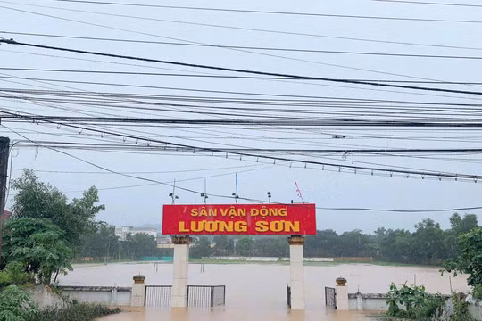 Phú Thọ phát lệnh báo động lũ, sẵn sàng sơ tán người dân ven sông