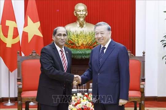 Tổng Bí thư Tô Lâm tiếp Đại sứ Singapore đến chào từ biệt