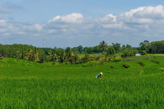 Sửa đổi, bổ sung một số quy định “điểm nghẽn” trong lĩnh vực nông nghiệp và môi trường