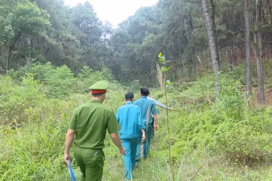 Chủ động phòng chống cháy rừng mùa nắng nóng