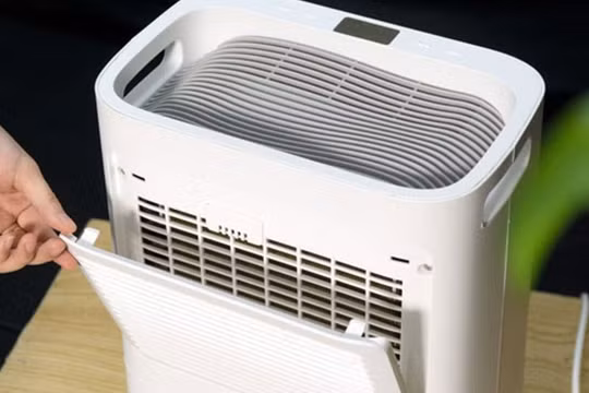 Hướng dẫn chọn máy hút ẩm phù hợp với diện tích phòng và những lưu ý quan trọng