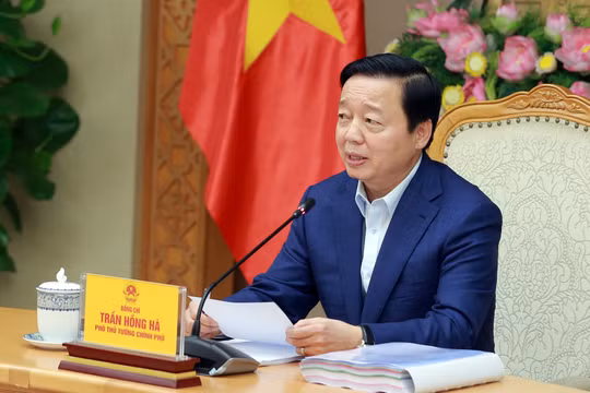 Xử phạt nghiêm, không bỏ sót trách nhiệm của mọi chủ thể liên quan trong lĩnh vực tài nguyên nước