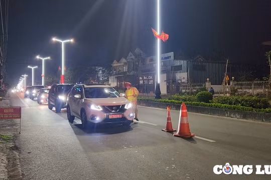Việt Nam được WHO mời chia sẻ kinh nghiệm kéo giảm tai nạn giao thông