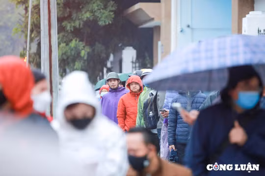 Xếp hàng từ 4h sáng trong mưa rét 15 độ C để đổi giấy phép lái xe