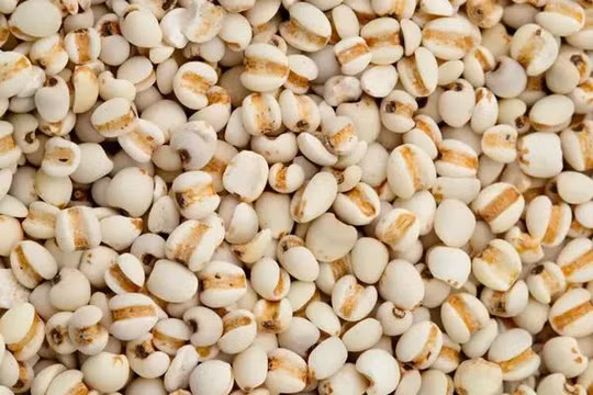 Bộ Y tế thu hồi lô dược liệu ý dĩ hỗ trợ điều trị ung thư không đạt chất lượng