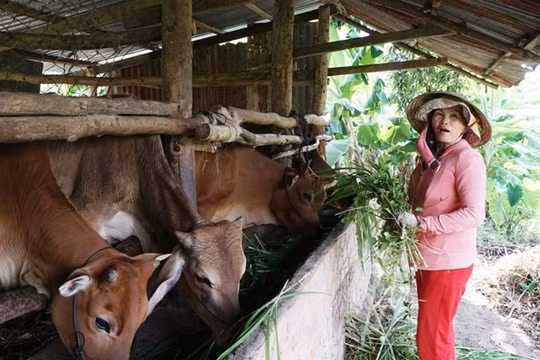 Krông Bông (Đắk Lắk)- đột phá trong giảm nghèo đa chiều