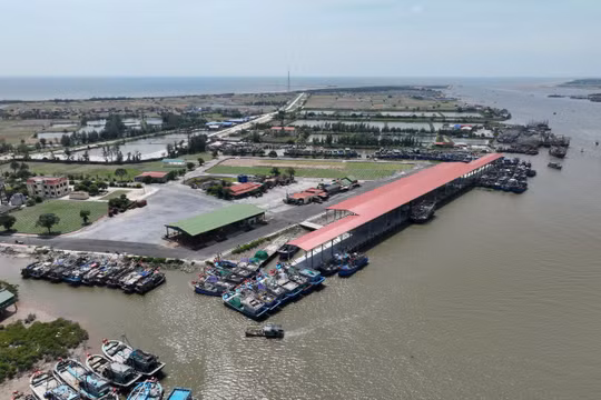 Ninh Bình: Xử lý 325 tàu cá vi phạm chống khai thác IUU, đạt tỷ lệ hơn 71%